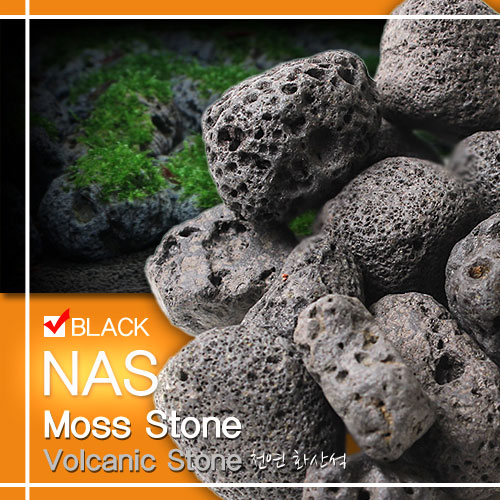NAS 모스스톤 블랙 (모스활착용 화산석) 4kg 