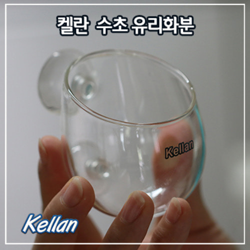 켈란 수초 유리화분 - K028